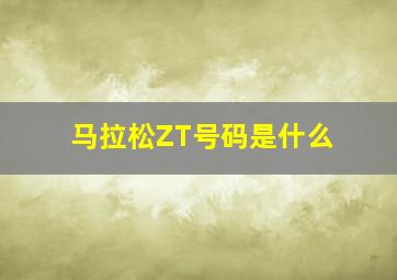 马拉松ZT号码是什么