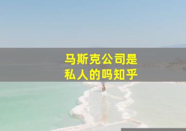 马斯克公司是私人的吗知乎