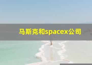 马斯克和spacex公司