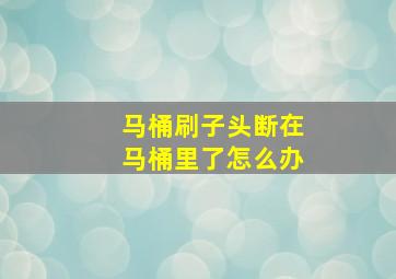 马桶刷子头断在马桶里了怎么办