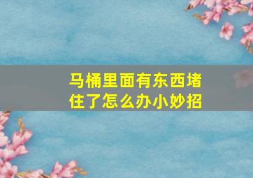 马桶里面有东西堵住了怎么办小妙招