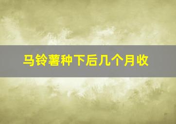 马铃薯种下后几个月收