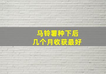 马铃薯种下后几个月收获最好