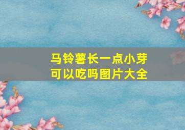 马铃薯长一点小芽可以吃吗图片大全