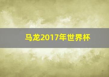 马龙2017年世界杯