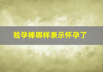 验孕棒哪样表示怀孕了