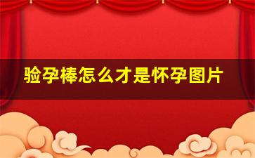 验孕棒怎么才是怀孕图片