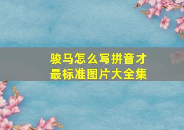 骏马怎么写拼音才最标准图片大全集