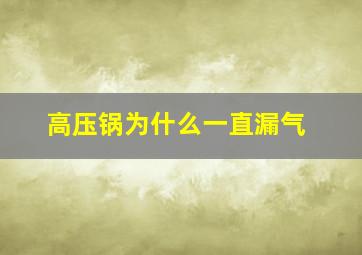 高压锅为什么一直漏气