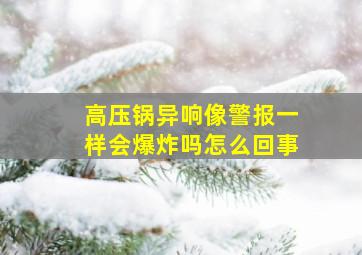 高压锅异响像警报一样会爆炸吗怎么回事