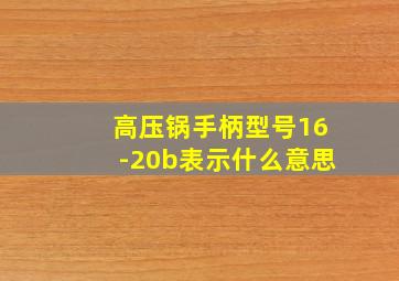 高压锅手柄型号16-20b表示什么意思