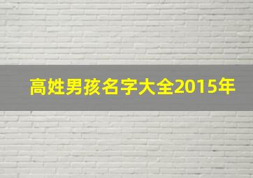 高姓男孩名字大全2015年