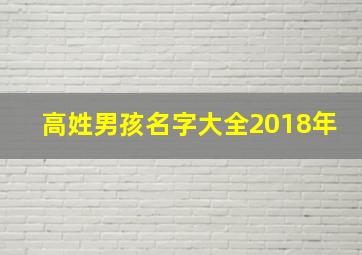 高姓男孩名字大全2018年