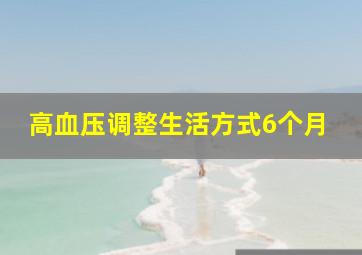 高血压调整生活方式6个月