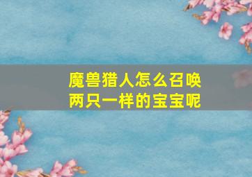 魔兽猎人怎么召唤两只一样的宝宝呢