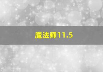 魔法师11.5