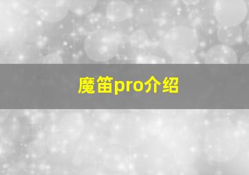 魔笛pro介绍