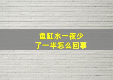 鱼缸水一夜少了一半怎么回事