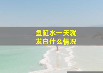 鱼缸水一天就发白什么情况