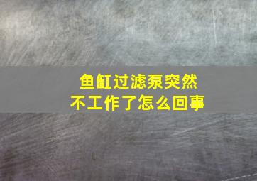 鱼缸过滤泵突然不工作了怎么回事