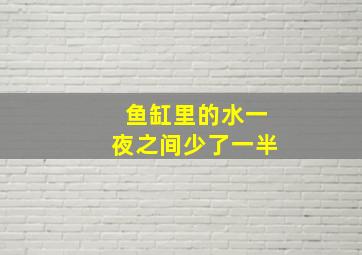 鱼缸里的水一夜之间少了一半