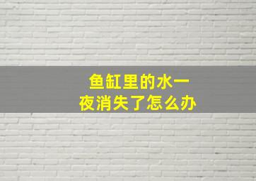 鱼缸里的水一夜消失了怎么办