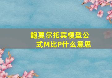 鲍莫尔托宾模型公式M比P什么意思