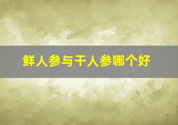 鲜人参与干人参哪个好