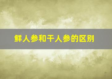 鲜人参和干人参的区别