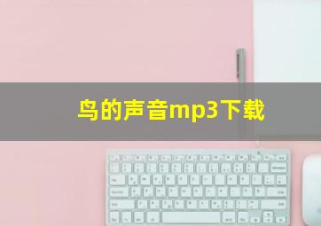 鸟的声音mp3下载