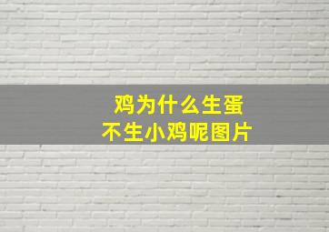 鸡为什么生蛋不生小鸡呢图片