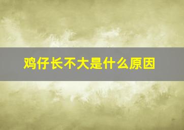 鸡仔长不大是什么原因