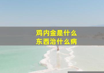 鸡内金是什么东西治什么病