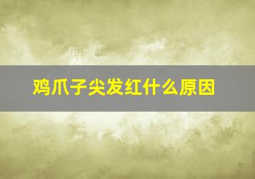 鸡爪子尖发红什么原因