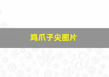 鸡爪子尖图片