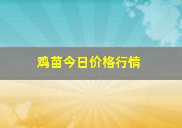 鸡苗今日价格行情