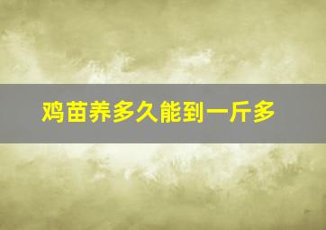 鸡苗养多久能到一斤多