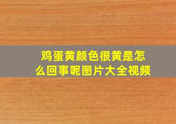 鸡蛋黄颜色很黄是怎么回事呢图片大全视频