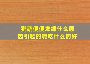 鹦鹉便便发绿什么原因引起的呢吃什么药好