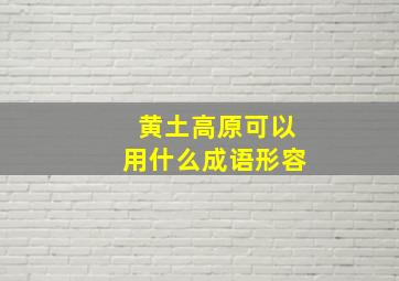 黄土高原可以用什么成语形容