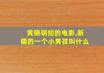 黄晓明拍的电影,新疆的一个小男孩叫什么