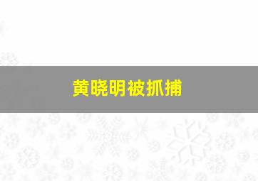 黄晓明被抓捕