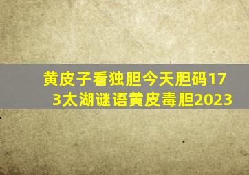 黄皮子看独胆今天胆码173太湖谜语黄皮毒胆2023