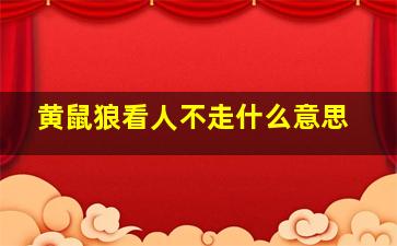 黄鼠狼看人不走什么意思