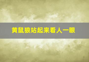 黄鼠狼站起来看人一眼