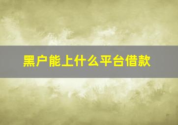 黑户能上什么平台借款