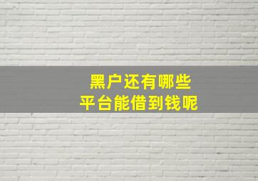 黑户还有哪些平台能借到钱呢