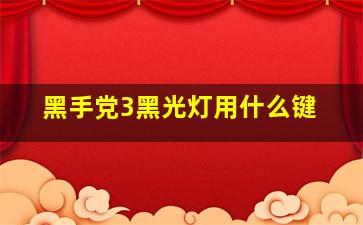 黑手党3黑光灯用什么键