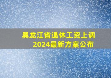 黑龙江省退休工资上调2024最新方案公布