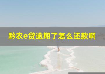 黔农e贷逾期了怎么还款啊